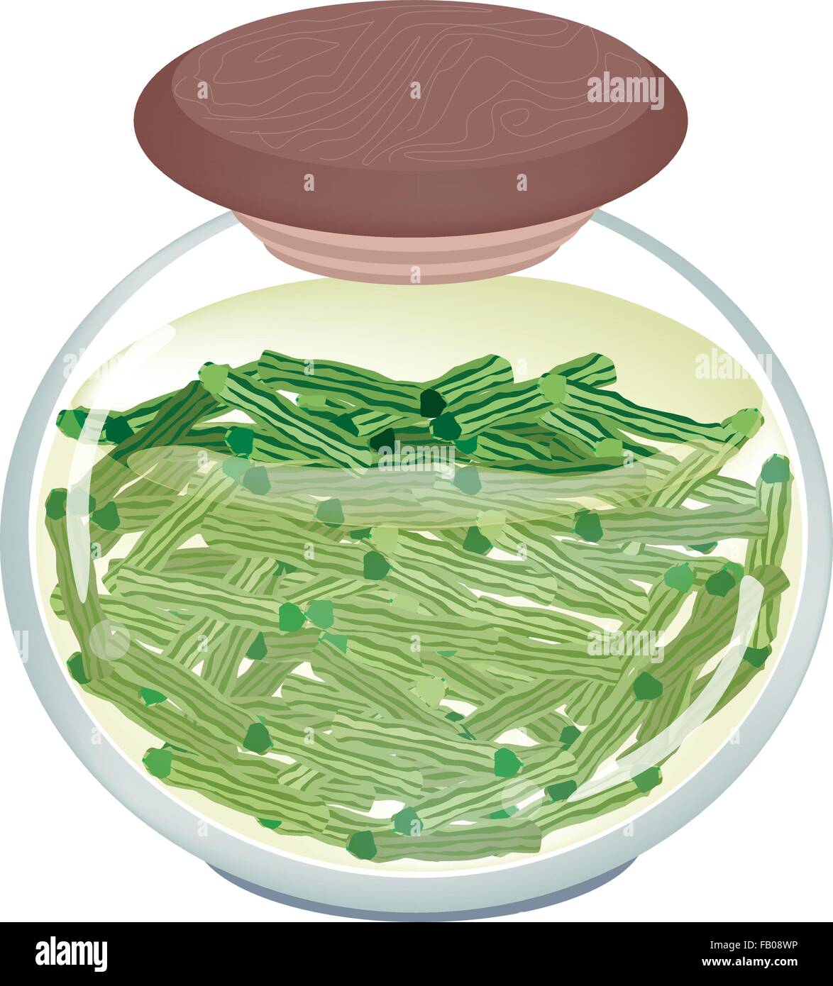 Gemüse- und Kräutergarten, Illustration der leckere eingelegte Moringa-Pod in Salzlake, Essig und Zucker in einem Glas Jar Isolated on White Stock Vektor