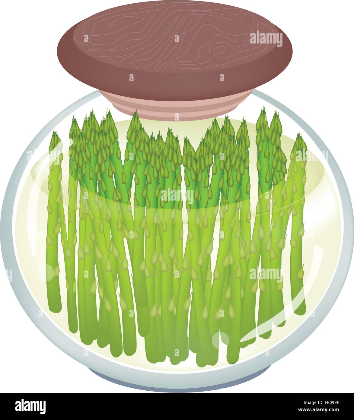 Gemüse, zur Veranschaulichung der eingelegte grüne Bohnen oder Phaseolus Vulgaris in Salzlake, Essig und Salz in einem Glas isoliert auf Stock Vektor