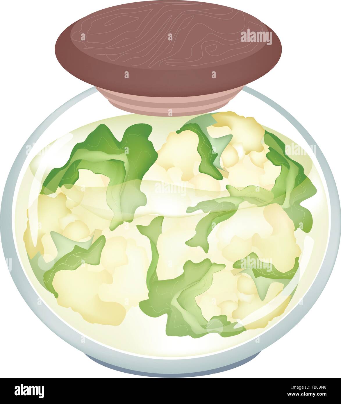 Gemüse, zur Veranschaulichung der eingelegte Weißer Blumenkohl in Salzwasser, Essig und Salz in einem Glas, Isolated on White Background Stock Vektor