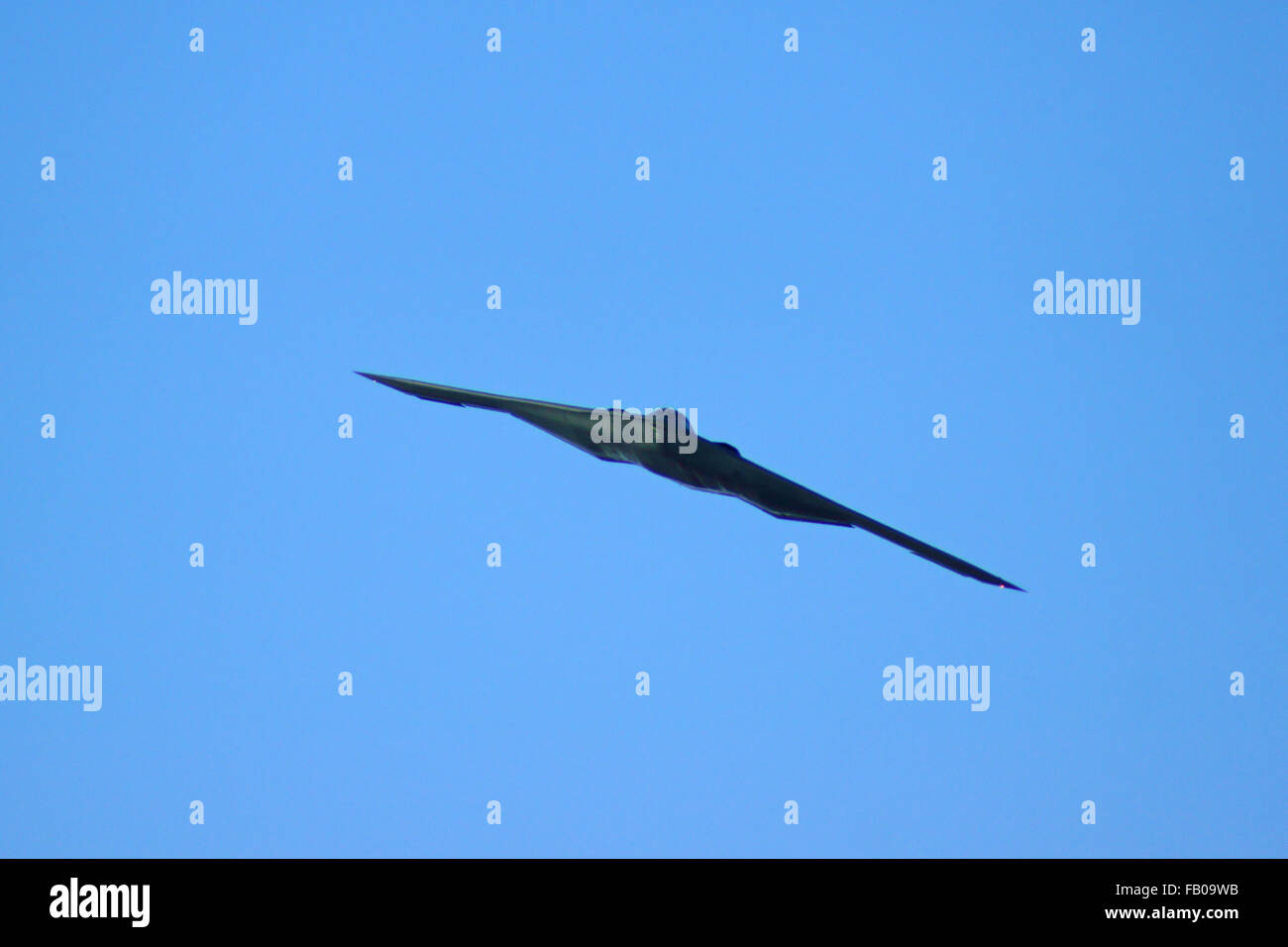 Jet b-2 Stealth Bomber fliegen über 2016 Tournament of Roses Parade in Pasadena, Kalifornien am Neujahrstag Stockfoto