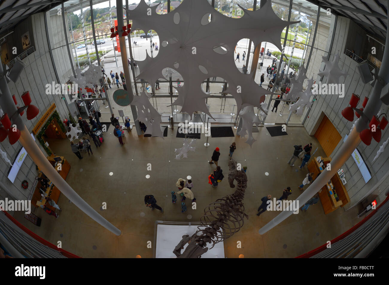 Academy of sciences san francisco Fotos und Bildmaterial in hoher