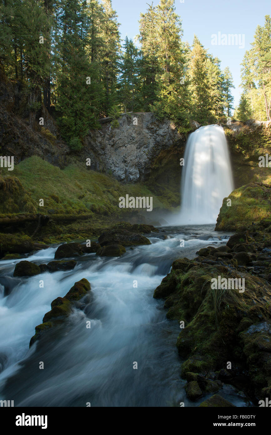 Sahalie Fälle ist eine beliebte Wasserfall befindet sich weg von den McKenzie River Highway im Linn County, Oregon. Stockfoto