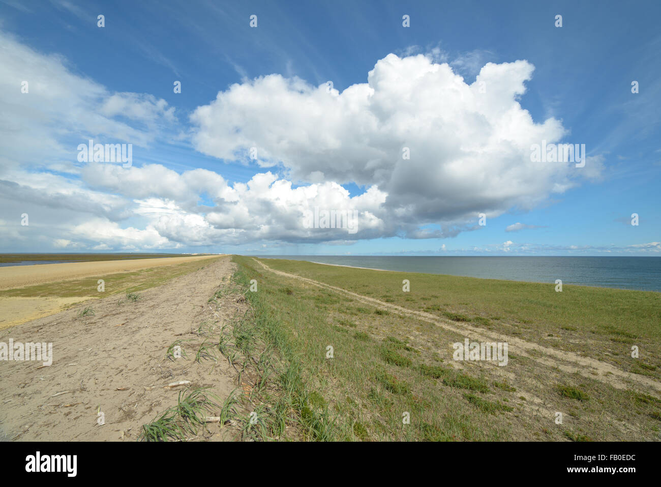 Natur und Tierwelt des Nordteils der Insel Sachalin, Russland. Landschaften, Seestücke, Tiere. Sand spucken Piltun. Stockfoto