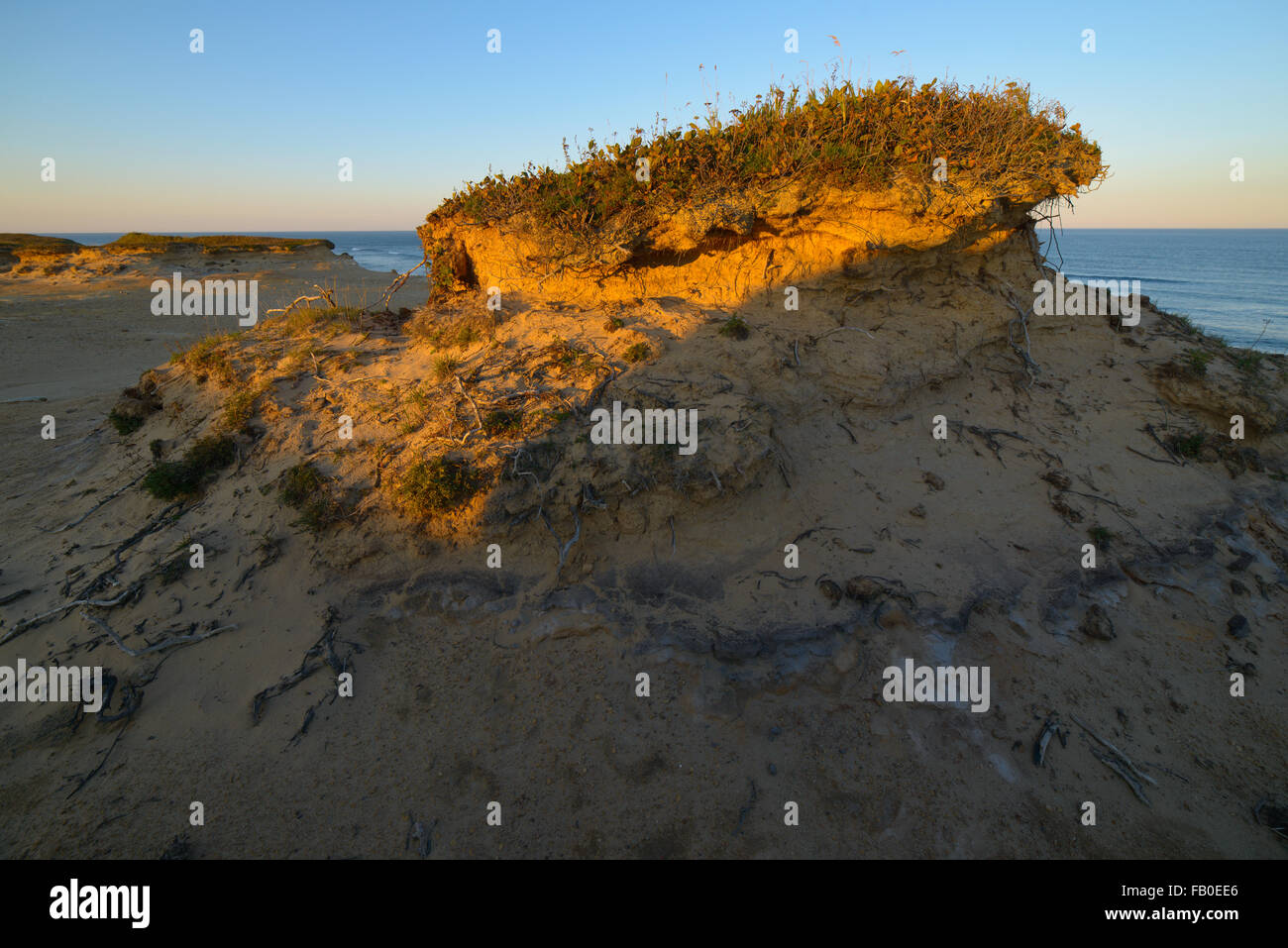 Natur und Tierwelt des Nordteils der Insel Sachalin, Russland. Landschaften, Seestücke, Tiere. Sand spucken Piltun. Stockfoto