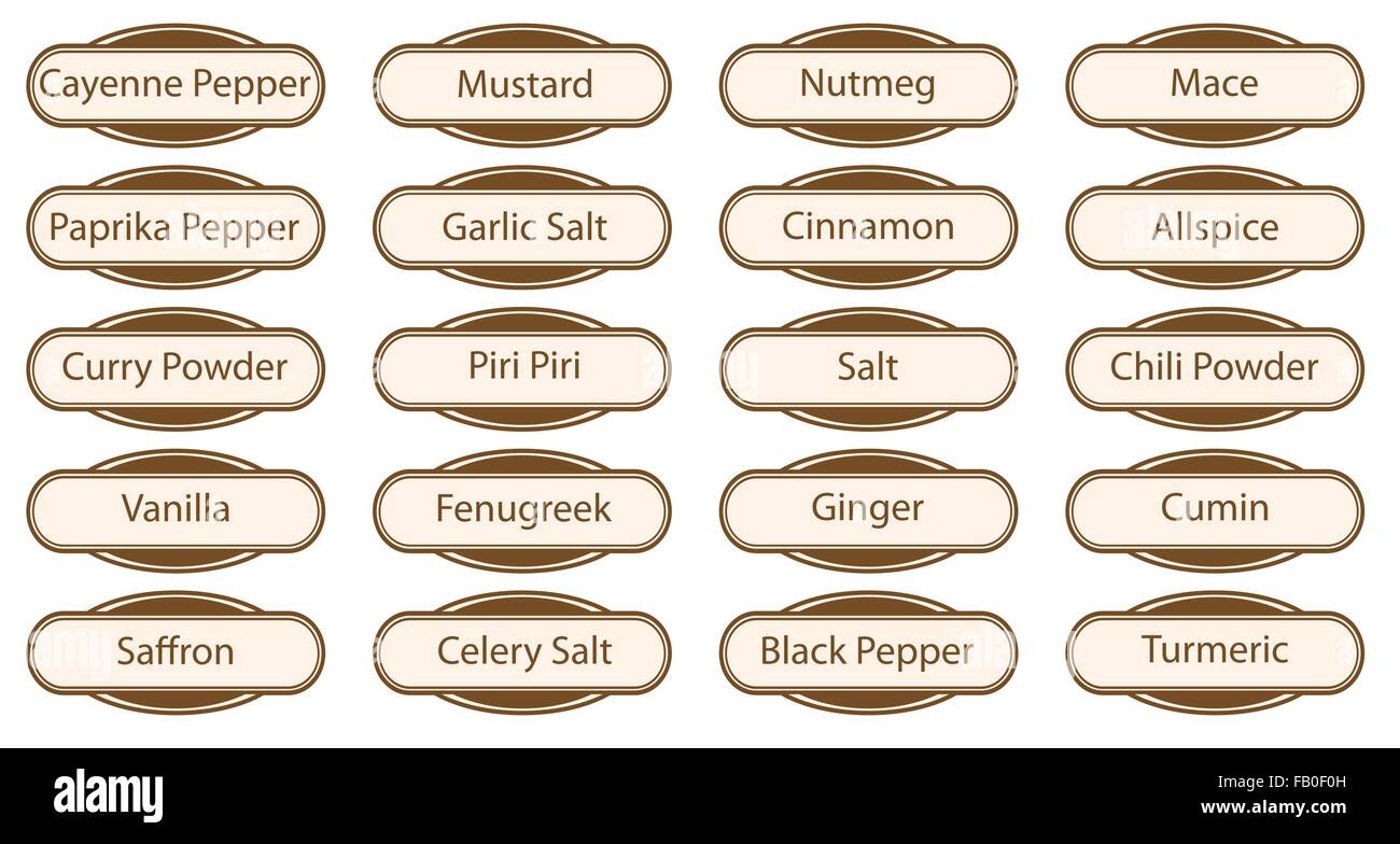 Eine Sammlung von Spice Web-Buttons und Etiketten auf einem weißen Hintergrund isoliert Stock Vektor
