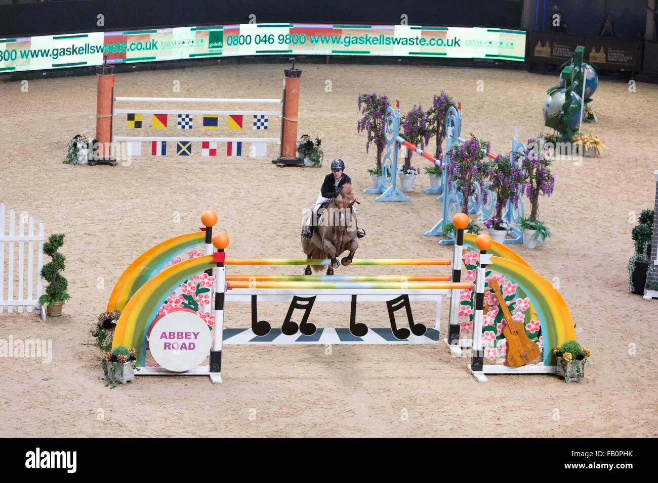 Liverpool International Horse Show, Januar 2016, Vereinigtes Königreich. Amy Inglis auf Samayava Ar Park Stockfoto