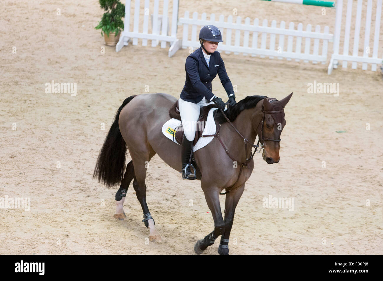 Liverpool International Horse Show, Januar 2016, Vereinigtes Königreich.  Emily Bettenstation Remi Cavalleri Stockfoto