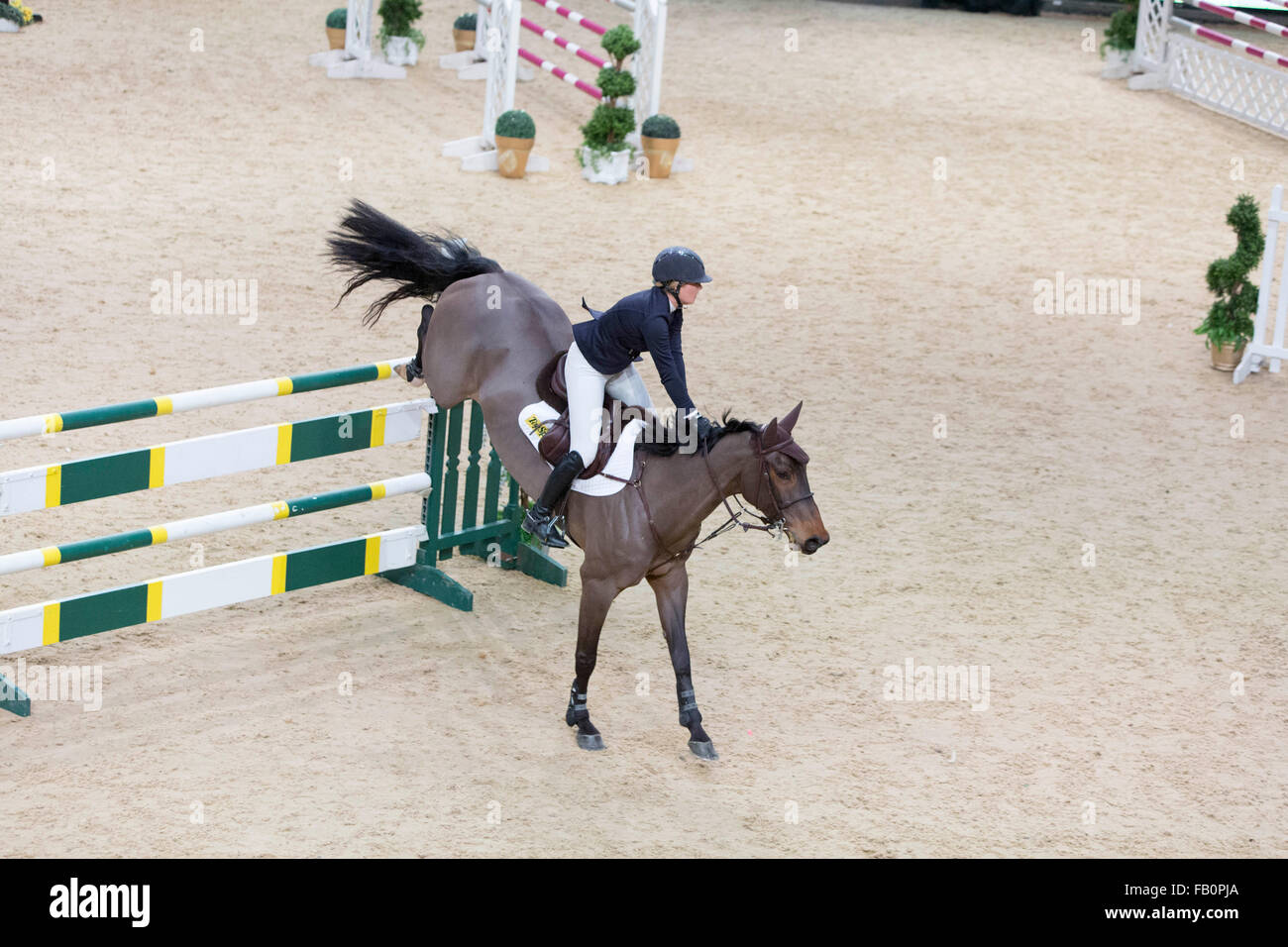 Liverpool International Horse Show, Januar 2016, Vereinigtes Königreich.  Emily Bettenstation Remi Cavalleri Stockfoto