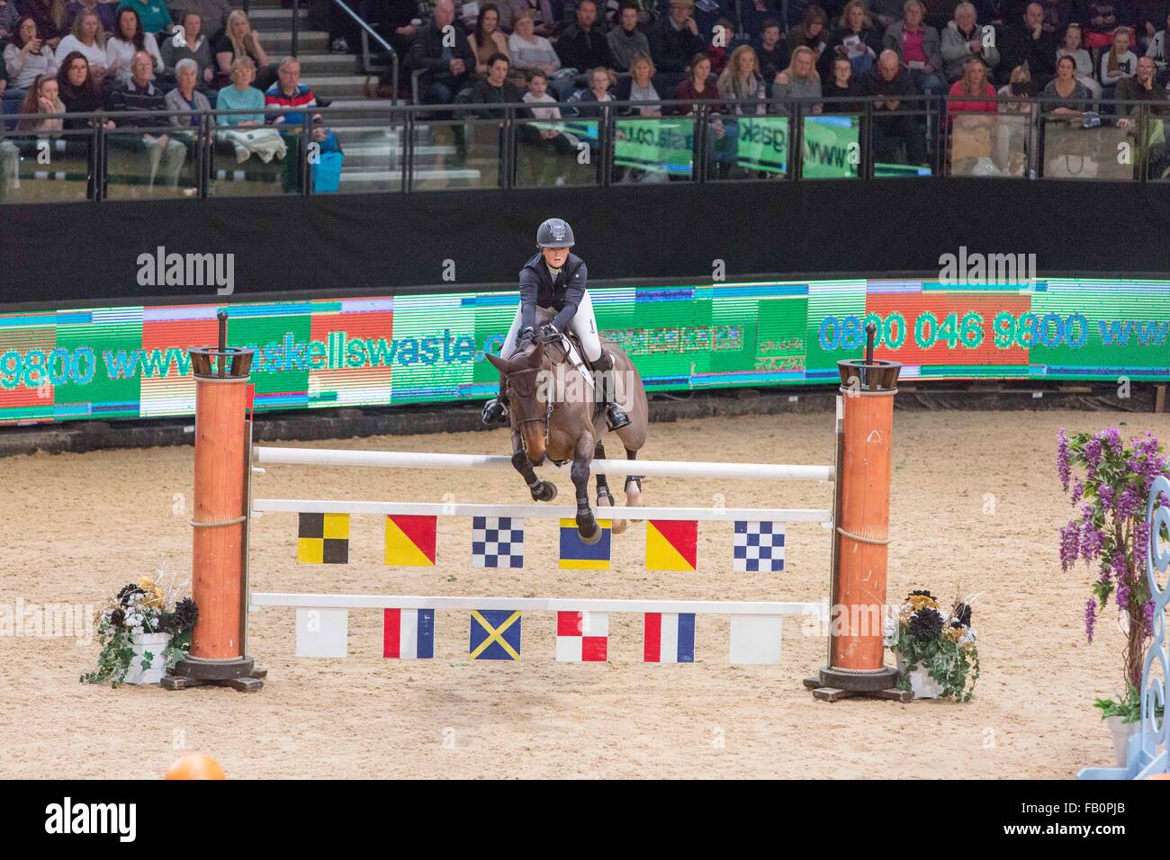 Liverpool International Horse Show, Januar 2016, Vereinigtes Königreich.  Emily Bettenstation Remi Cavalleri Stockfoto