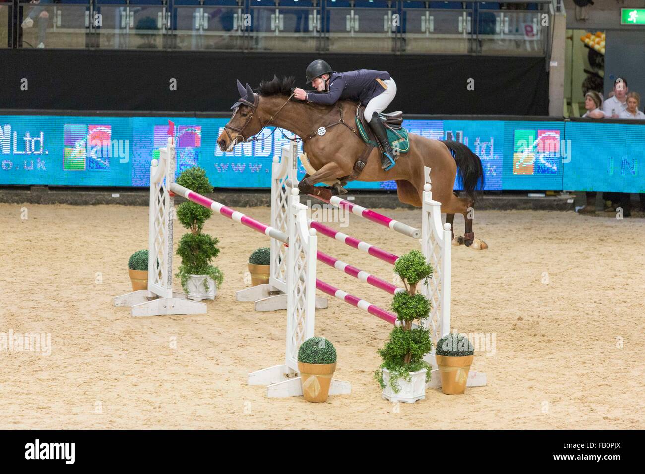 Liverpool International Horse Show, Januar 2016, Vereinigtes Königreich. David Murdoch auf Raphaela Von Berkenbroek Stockfoto