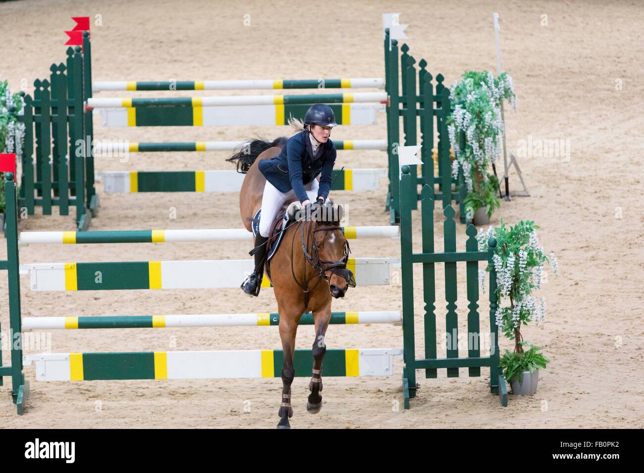 Liverpool International Horse Show, Januar 2016, Vereinigtes Königreich. Pippa Allen auf Hope Springs Stockfoto