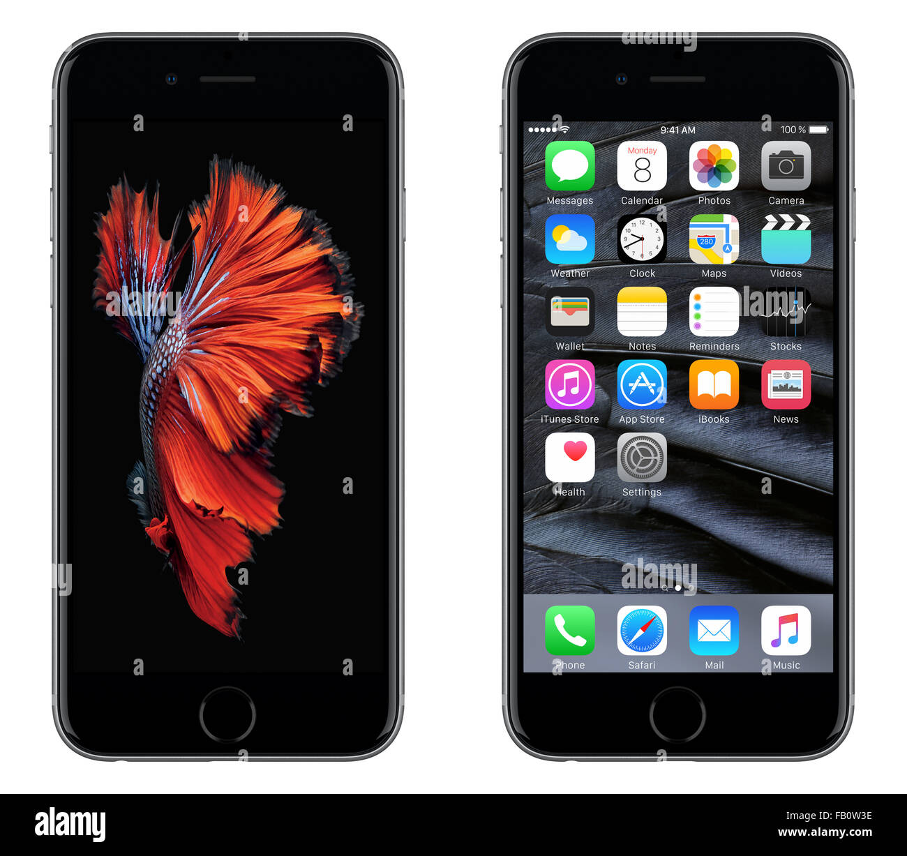 Varna, Bulgarien - 24. Oktober 2015: Vorderansicht des Apple iPhone 6 s Space Grau mit mobilen Betriebssystem iOS 9. Stockfoto