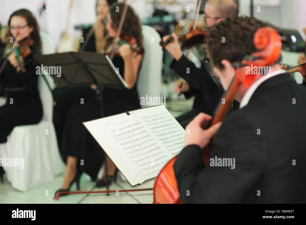 klassische Musiker, spielt Bratsche mit Noten Stockfoto