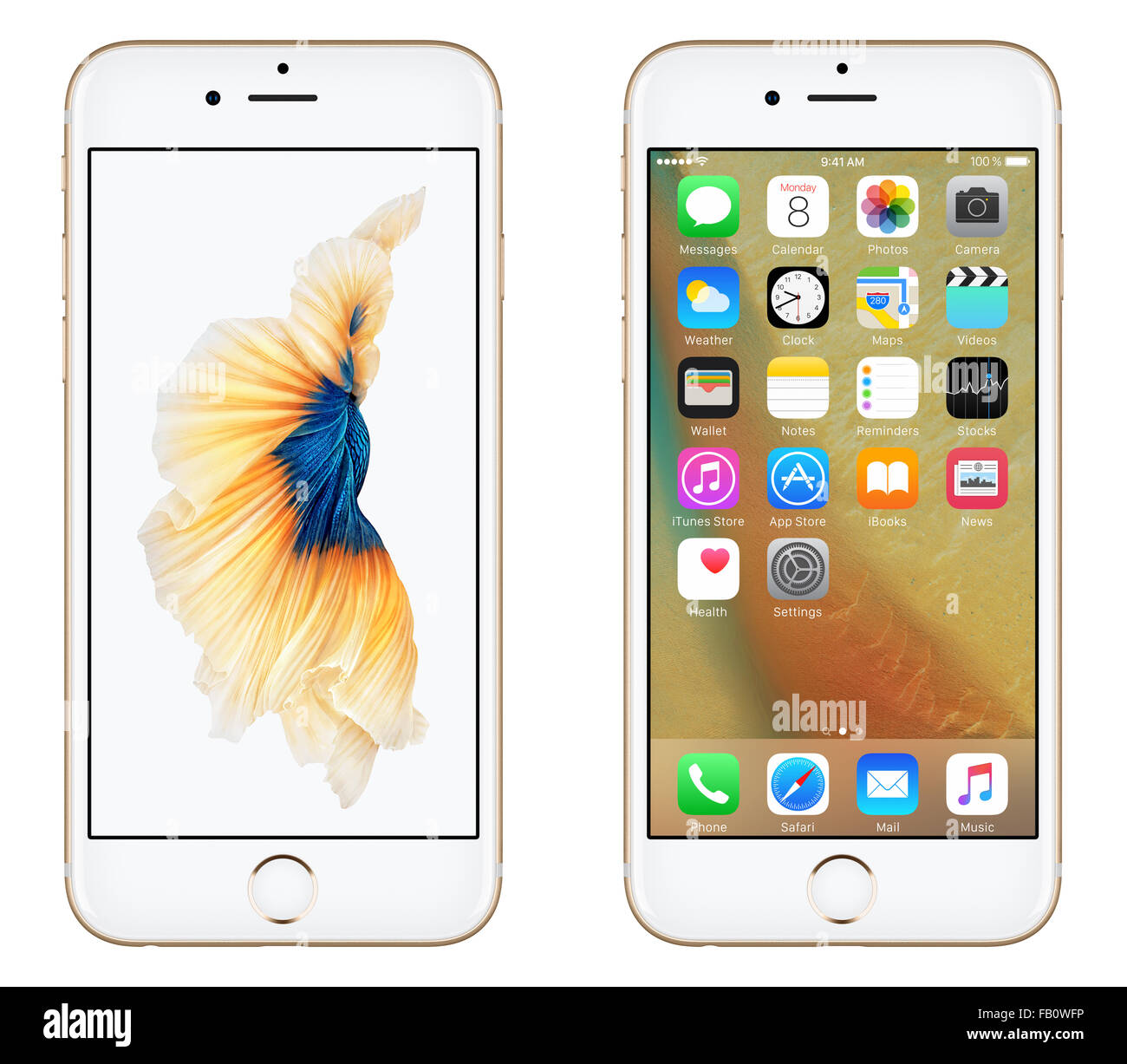 Varna, Bulgarien - 24. Oktober 2015: Vorderansicht der Gold Apple iPhone 6 s mit mobilen Betriebssystem iOS 9. Stockfoto