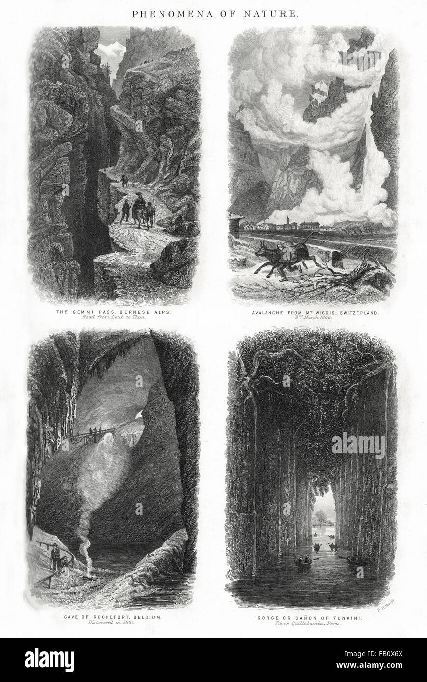 Phänomene der Natur ca. 1874 Stockfoto