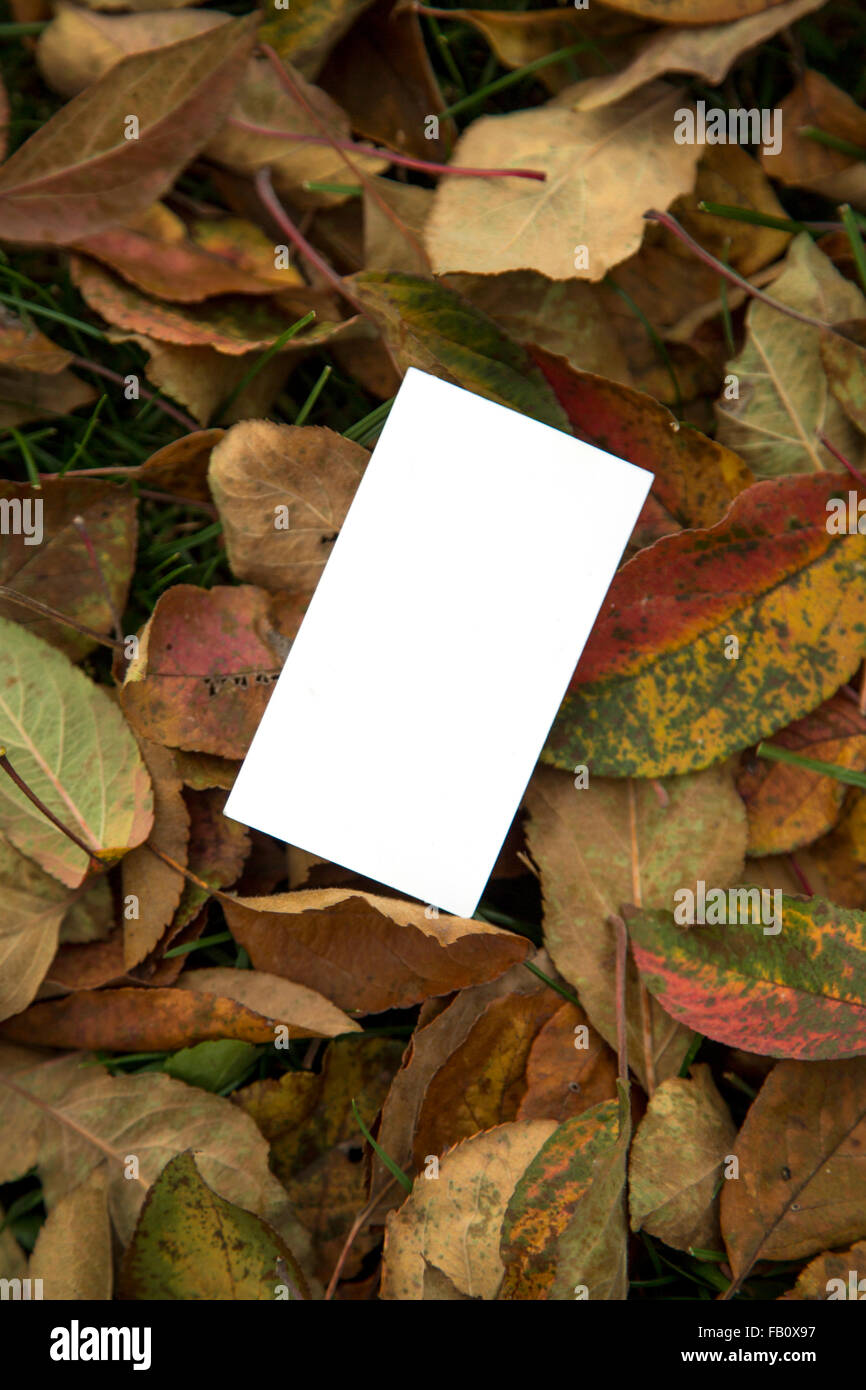Leere Visitenkarte Vorlage Stockfoto