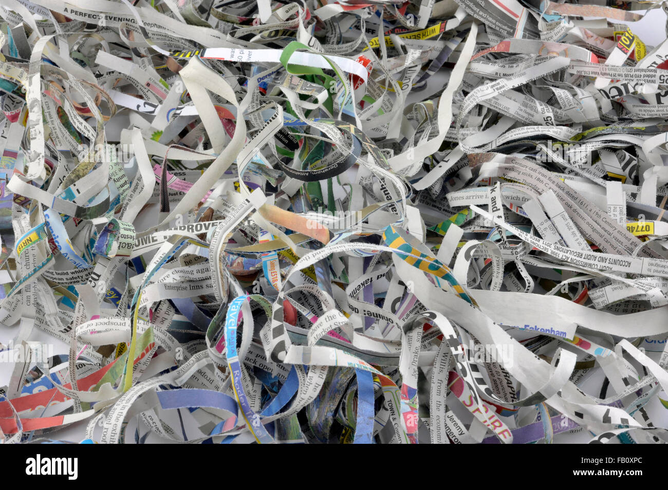 Geschredderte Zeitung zur Wiederverwendung als Verpackung Material, Tierstreu, Garten Mulch und Kompostierung. Stockfoto