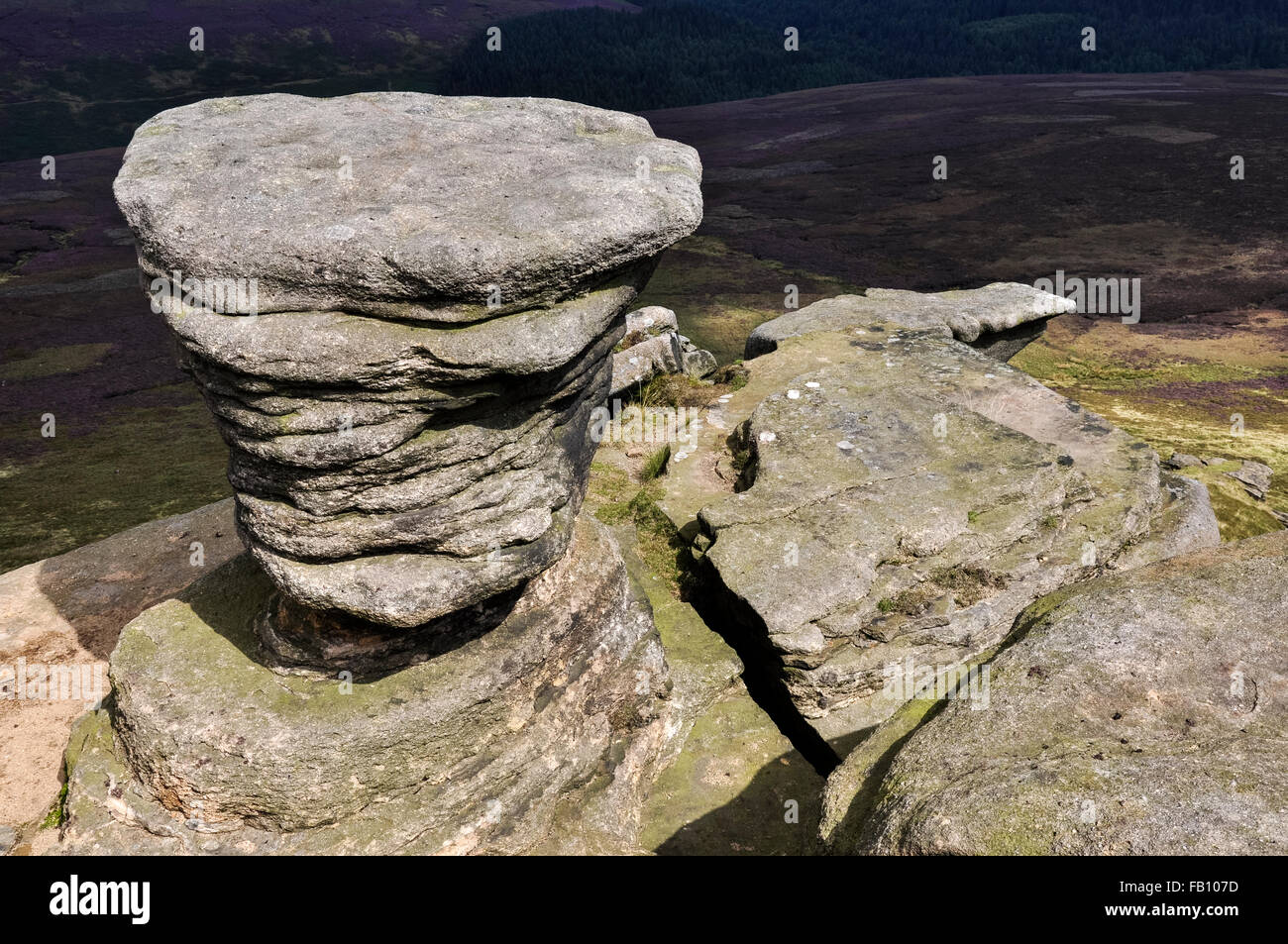 Ein Gritstone-Feature bei Fairbrook Naze im Peak District, Derbyshire. Blick auf die lila Heidekraut Moorland darüber hinaus. Stockfoto