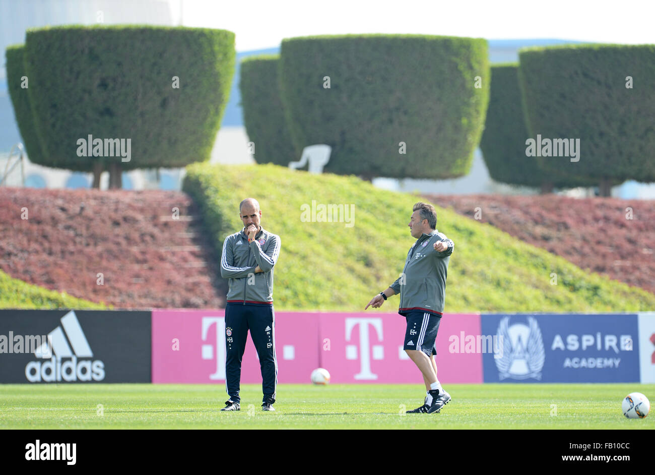 Doha, Katar. 7. Januar 2016. Münchens Trainer Pep Guardiola (L) spricht mit Co-Trainer Domenec Torrent nach einer Trainingseinheit in Doha, Katar, 7. Januar 2016. Bayern München soll in Katar bis 12. Januar 2016 zur Vorbereitung der zweiten Hälfte der deutschen Fußball-Bundesliga-Saison zu bleiben. Foto: ANDREAS GEBERT/Dpa/Alamy Live-Nachrichten Stockfoto