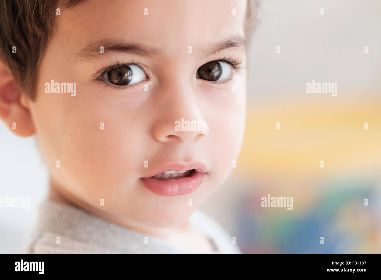 Porträt eines jungen (2-3) Blick in die Kamera Stockfoto