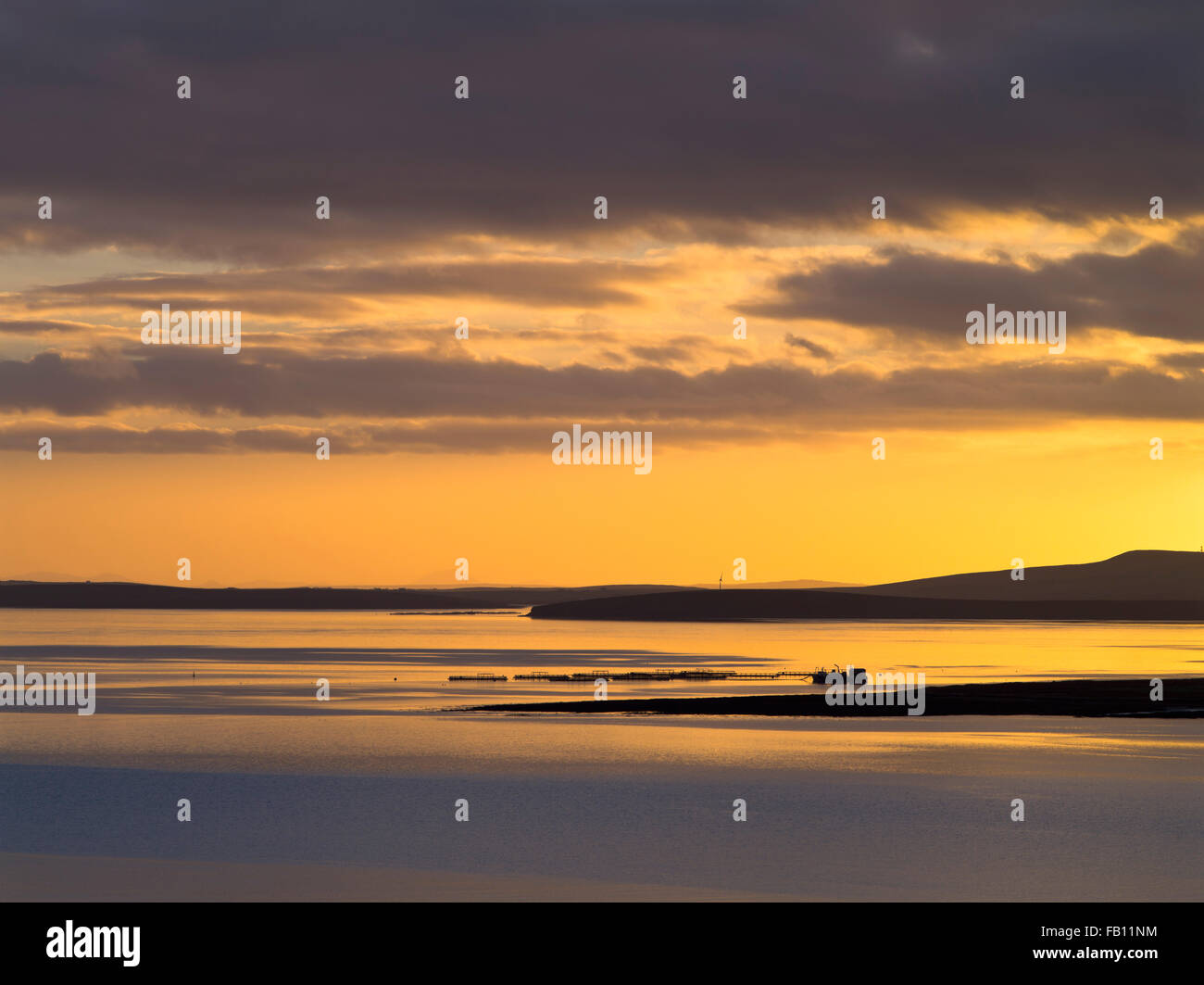 dh Fish Farm Cages SCAPA FLOW ORKNEY Schottischer Lachsfisch Landwirtschaft uk Sonnenuntergang orange Himmel schottland Insel Aquakultur Stockfoto