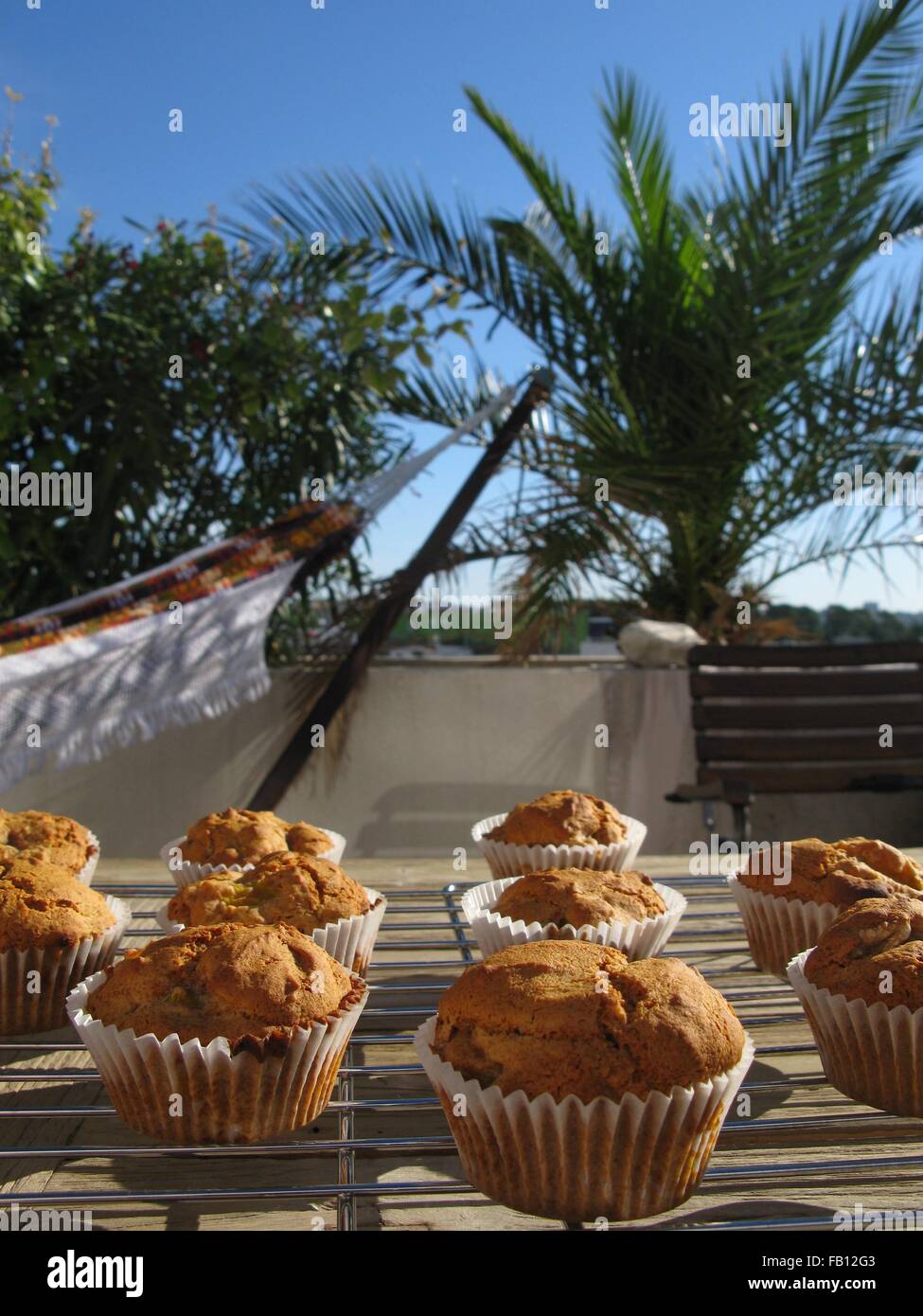 Hausgemachte Kürbis-Walnuss-Muffins am Kühlregal platziert auf einem Holztisch in der Sonne vor einer Palme und Hängematte Stockfoto