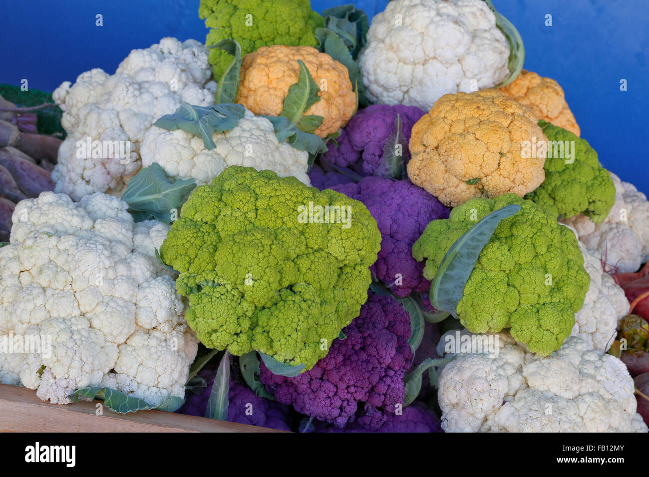 Bunte Blumenkohl, Bauernmarkt. Stockfoto