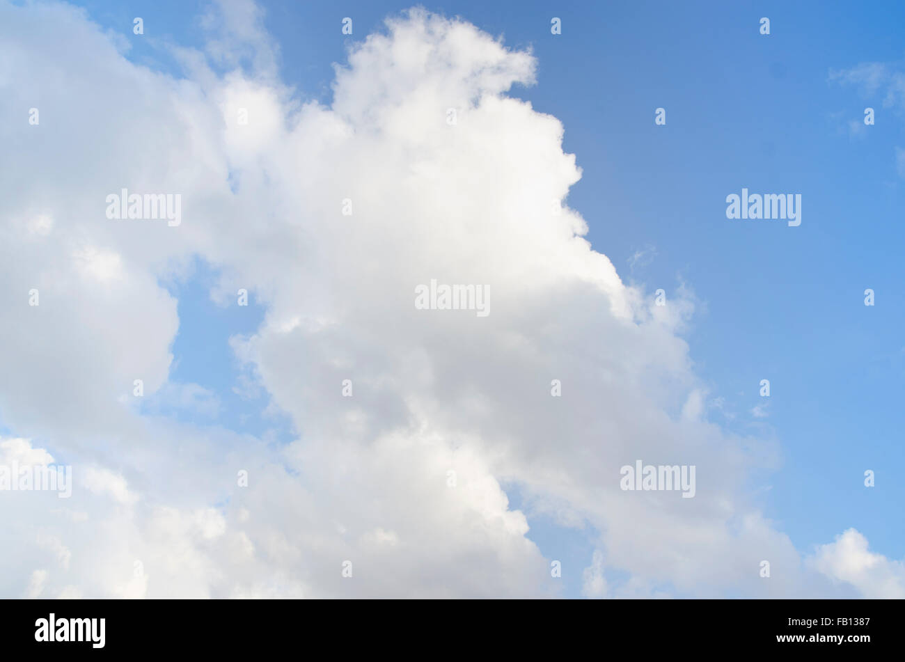 Cumulus-Wolke am blauen Himmel Stockfoto