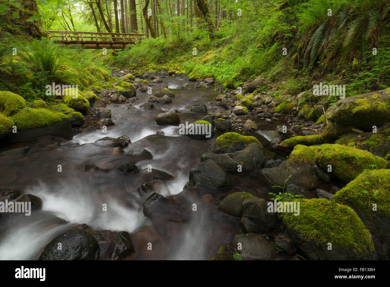 Wasserfälle im grünen Wald mit Steg im Hintergrund Stockfoto