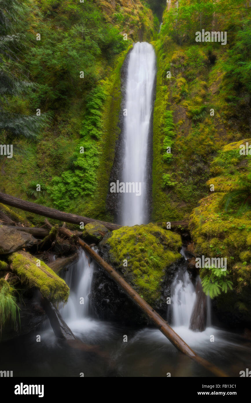 Wasserfall zwischen Moos bewachsenen Felsen Stockfoto