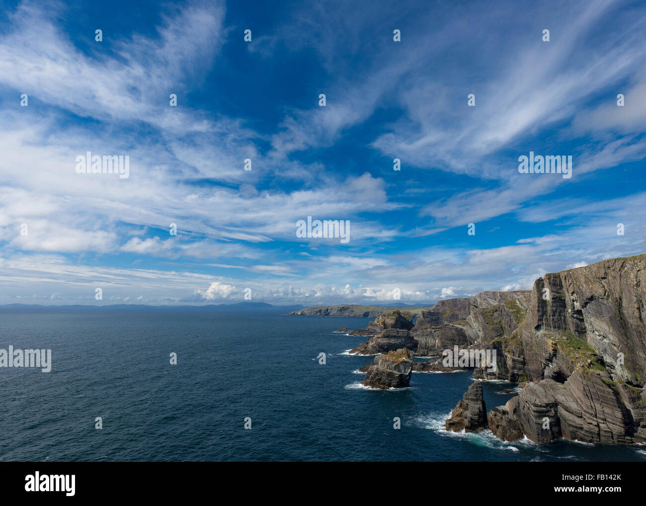Mizen Head Küste Klippen, West Cork, Irland mit einem blauen Himmel und Kopieren. Stockfoto