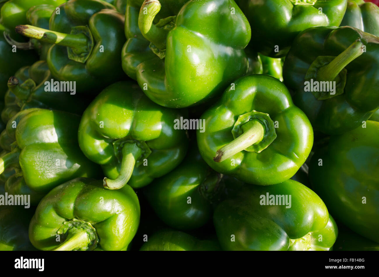 Full-Frame von grüner Paprika Stockfoto