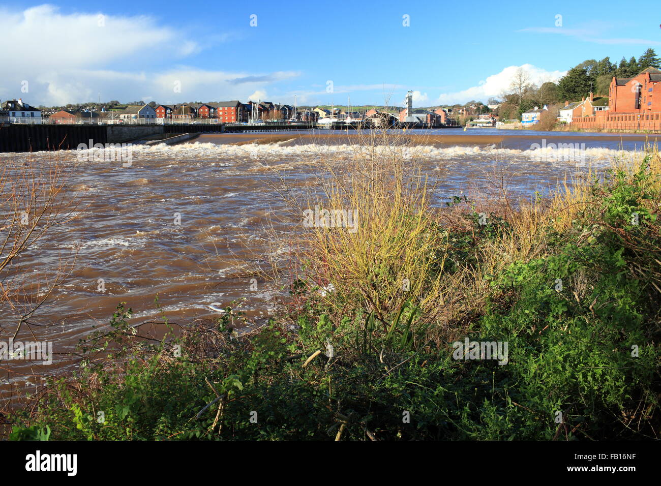 Fluß Exe in Flut an Karottenhosenträger Wehr, Devon, England, UK Stockfoto