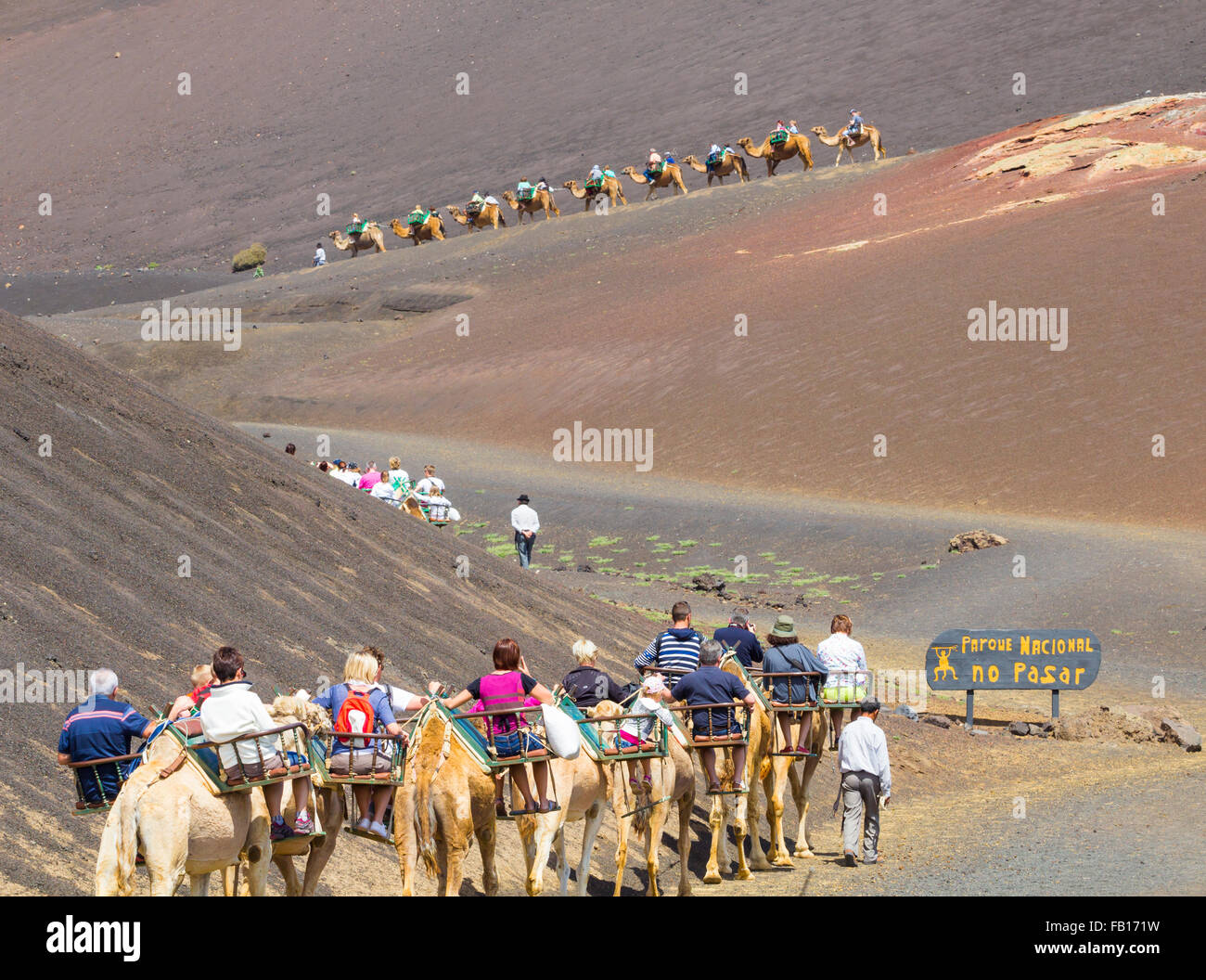 Touristen, Kamelreiten im Nationalpark Timanfaya, Lanzarote, Kanarische Inseln, Spanien. Stockfoto