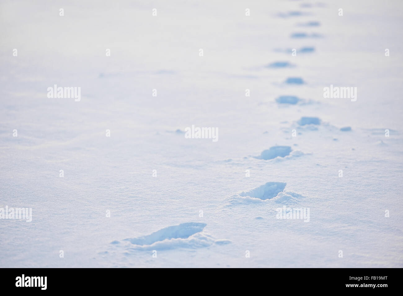 Winter-Szene mit frischen Spuren im Tiefschnee Stockfoto