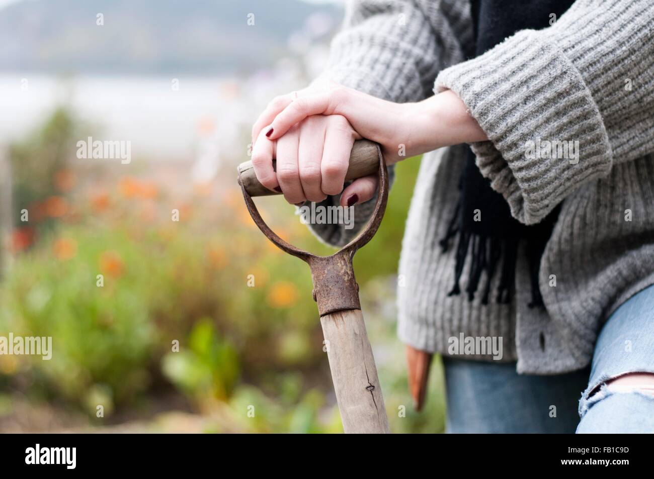 Zugeschnittenen Schuss womans Hände Graben Biogarten mit Gabel Stockfoto