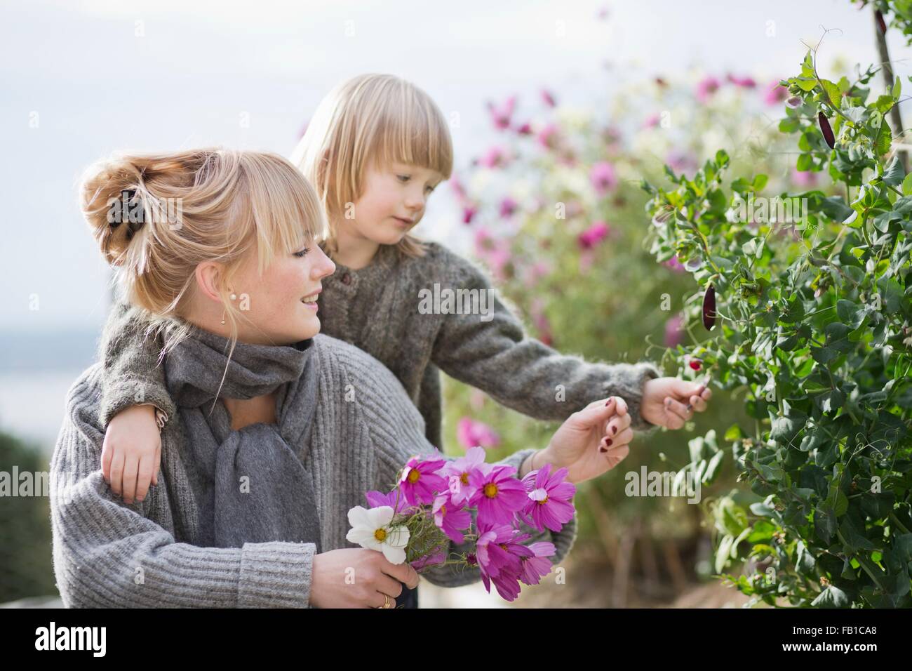 Junge und Mutter tendenziell Blumen im Bio-Garten Stockfoto