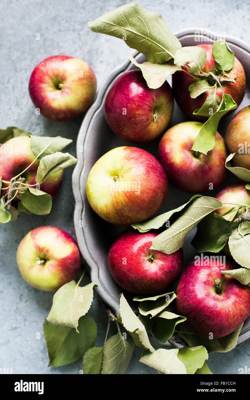 Draufsicht der Äpfel im Teller Stockfoto