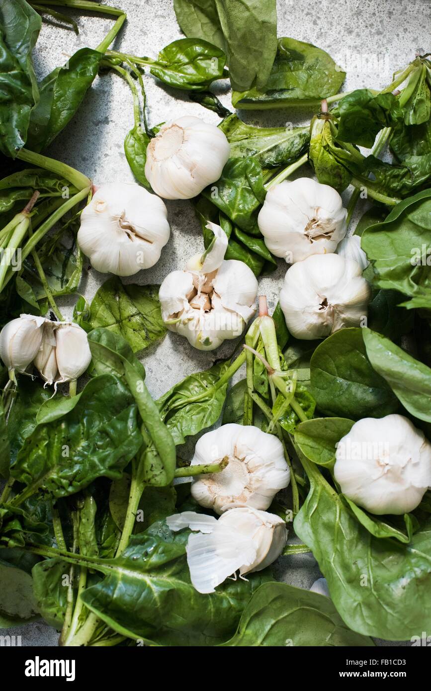 Draufsicht der Knoblauch Zwiebeln auf Blattspinat lässt Stockfoto