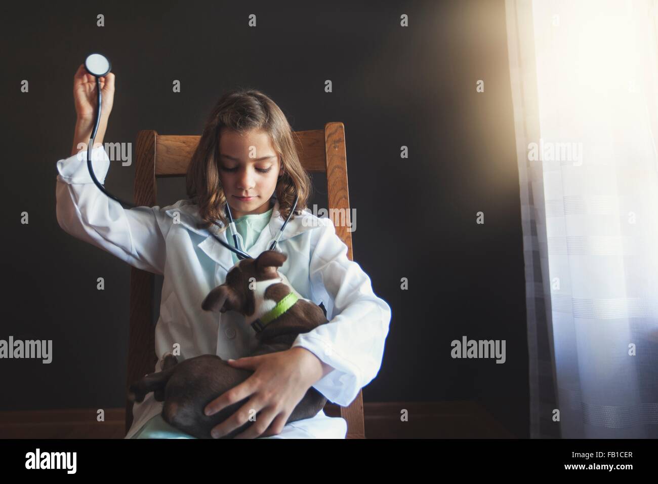 Mädchen auf Stuhl sitzend verkleidete sich als Arzt tendenziell Boston Terrier Welpe mit Stethoskop Stockfoto