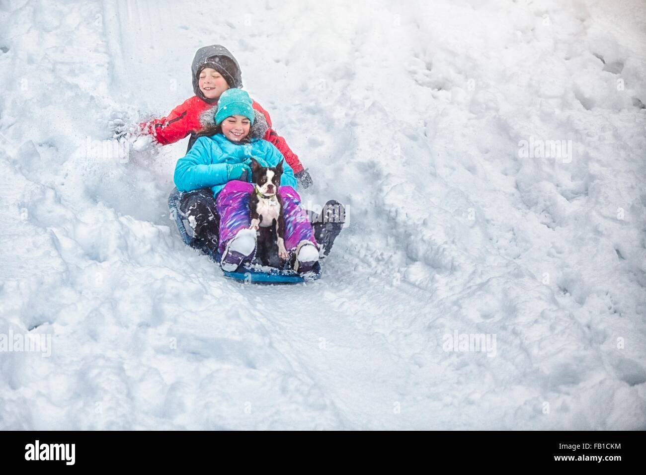 Bruder und Schwester Schlitteln mit Boston Terrier Welpen auf Schnee bedeckt Hang lächelnd Stockfoto