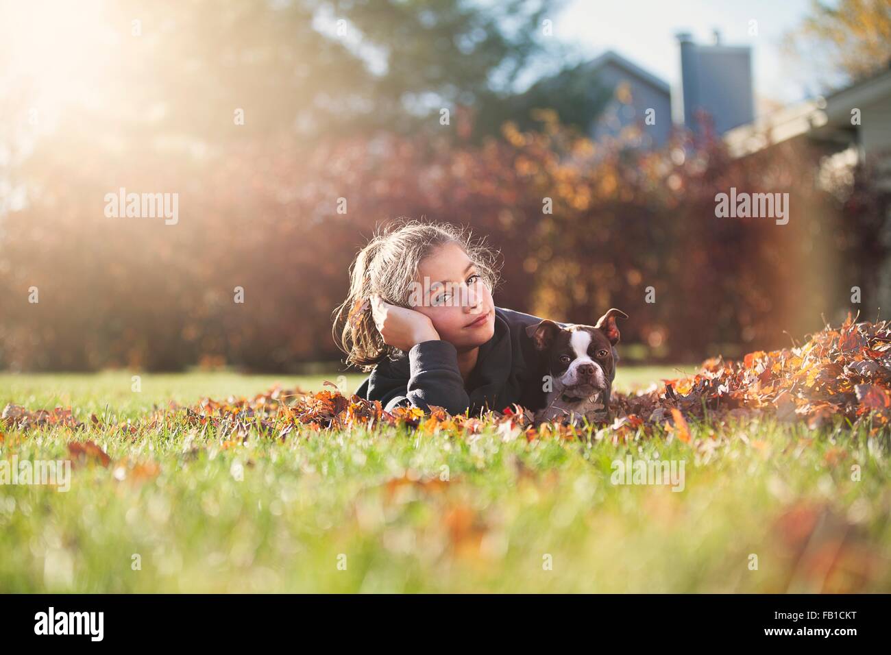 Mädchen mit Boston Terrier Welpe liegend vorne auf Herbstblatt bedeckt Rasen, ruht auf Ellenbogen Blick in die Kamera Stockfoto