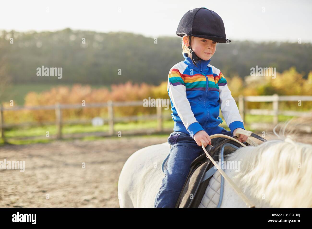 Junge weiße Pony im Pferdesport-Arena Reiten Stockfoto
