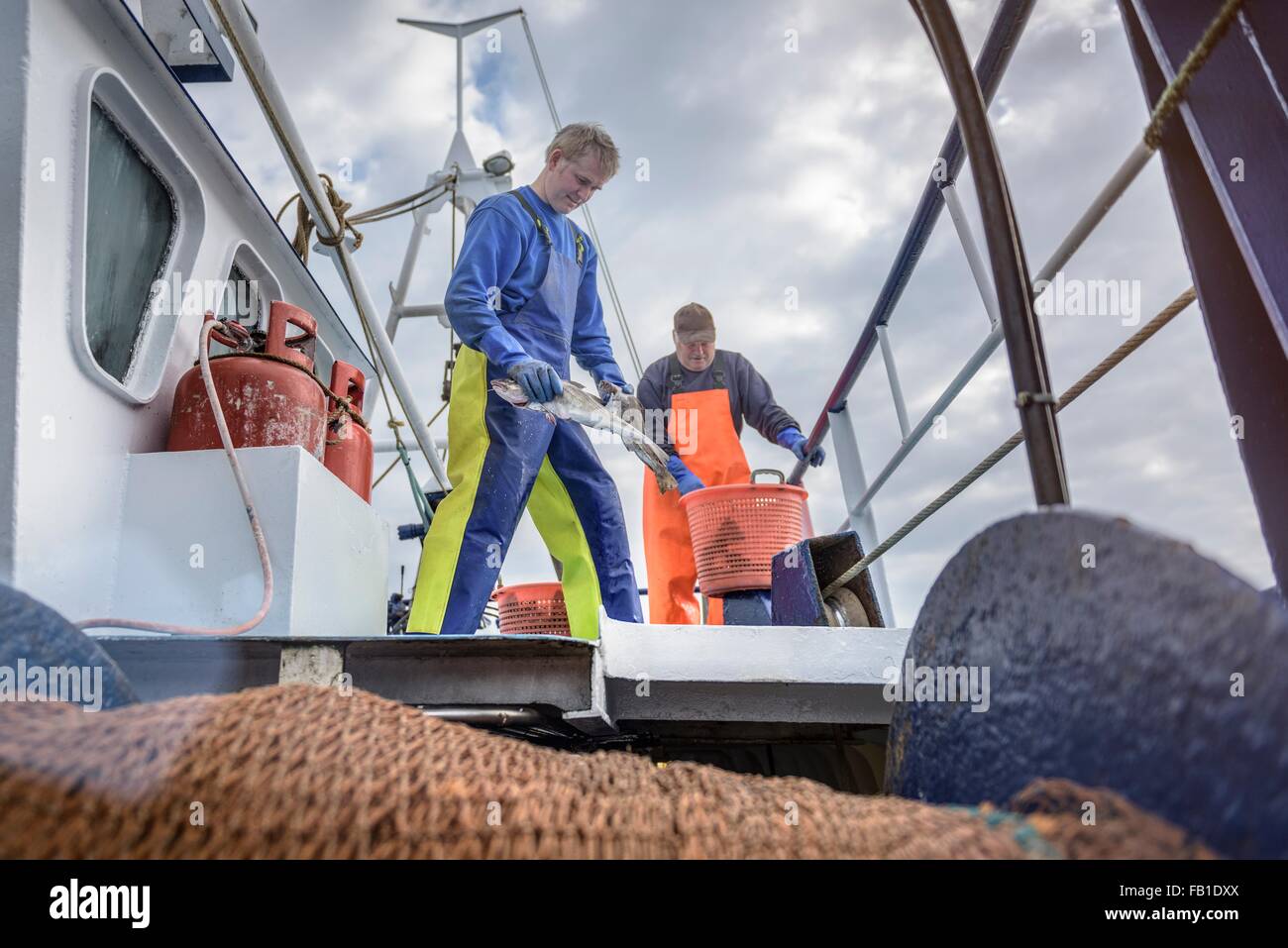 Fischer fangen Fische an Deck der trawler Stockfoto