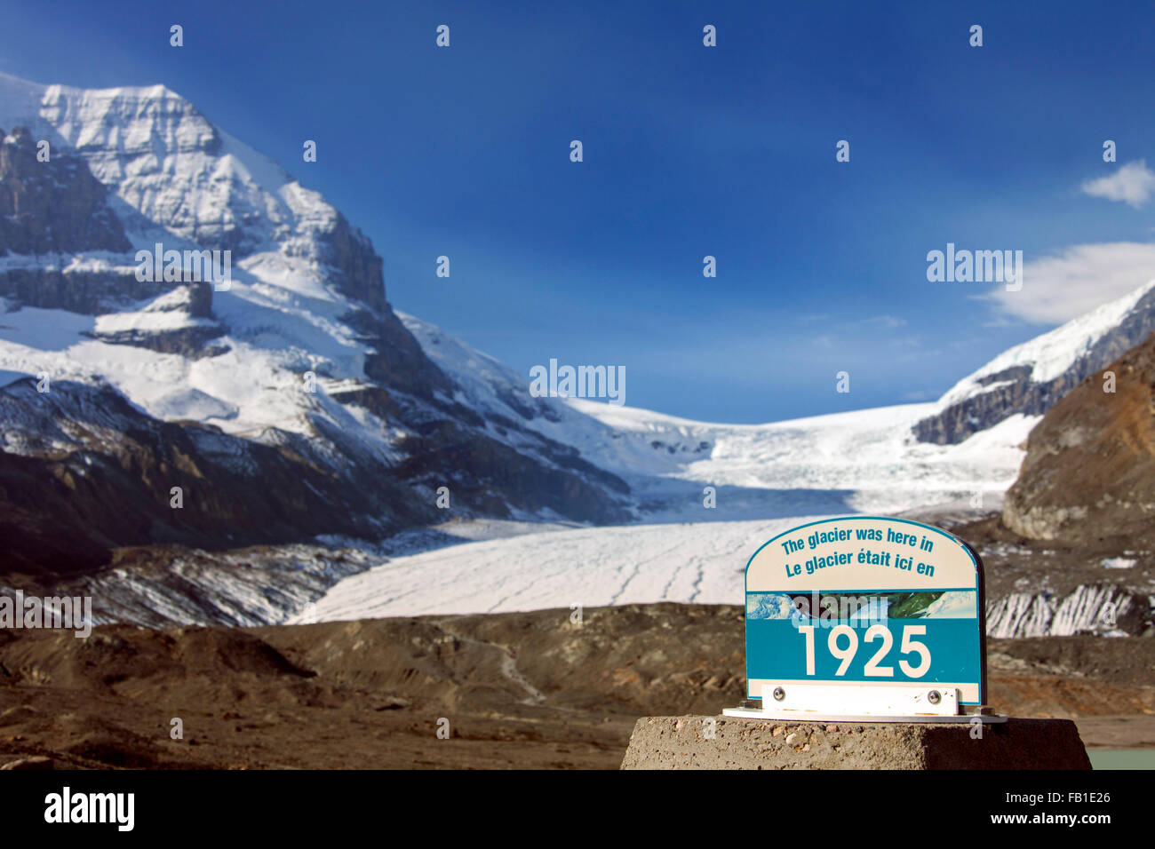 Zeichen markieren 1925 Rand der sich zurückziehenden Athabasca Gletscher, Teil des Columbia Icefield, kanadischen Rocky Mountains, Jasper NP, Kanada Stockfoto