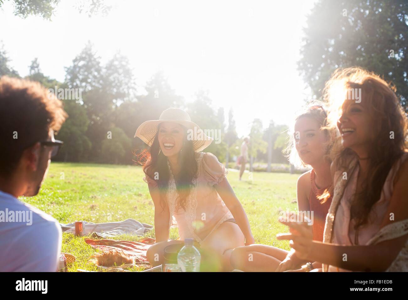 Erwachsene Freunde im Chat auf sunset Party im park Stockfoto