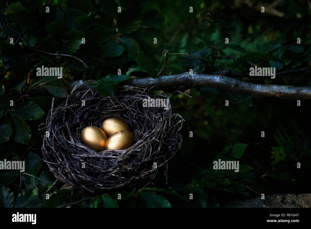 Baum mit drei goldenen Eiern in Vögel nisten in der Nacht Stockfoto