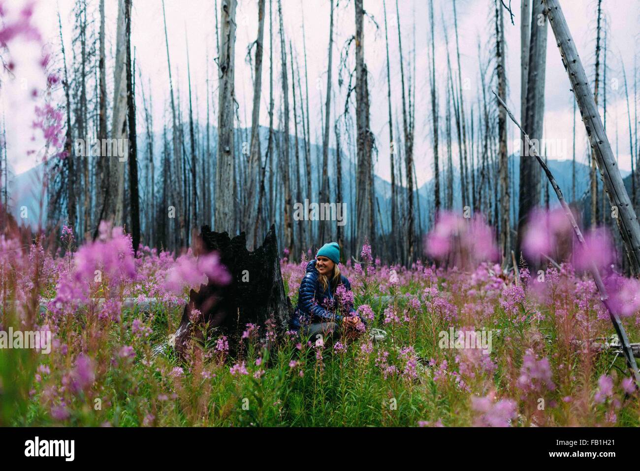 Mitte Erwachsene Frau sitzen verbrannten Baum stumpf Bereich Wildblumen Weg lächelnd Moraine Lake-Banff Nationalpark Alberta Kanada Stockfoto