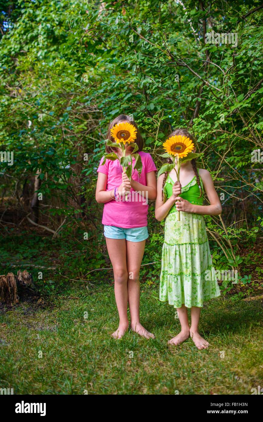 Zwei junge Mädchen halten Sonnenblumen vor Gesichtern Stockfoto