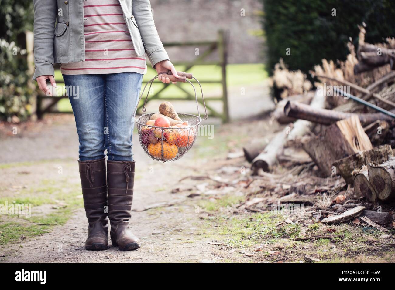 Schuss von Frau hält Korb mit Bio-Obst und Gemüse auf Feldweg beschnitten Stockfoto
